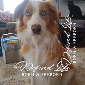 Meet your Posher, Sommer